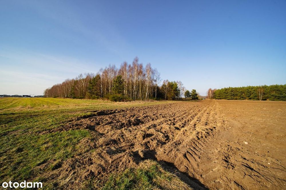 Działki na nowym osiedlu przy lesie - Więcej