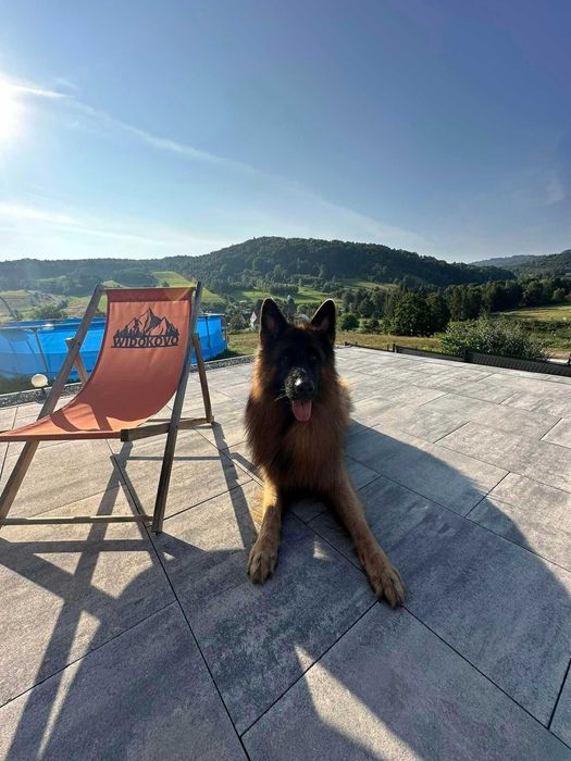 Domek w GÓRACH do 6 osób SAUNA/JACUZZI W CENIE - doba 450 zł