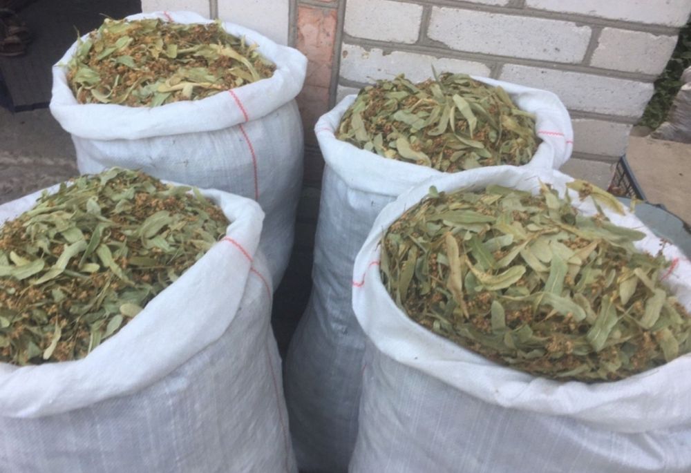 продам цвіт  липи і бузини є об'єм