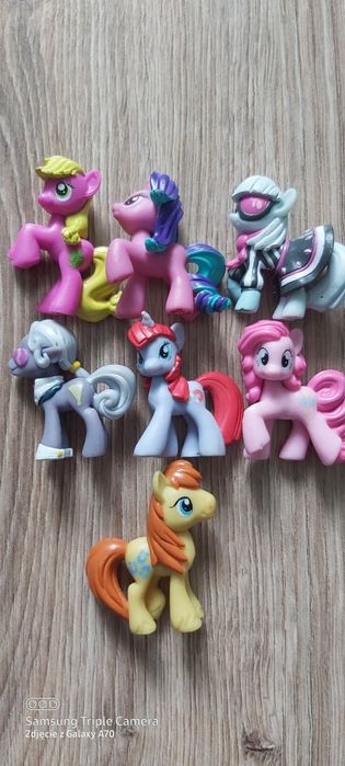 Koniki Pony/ graja i świecą