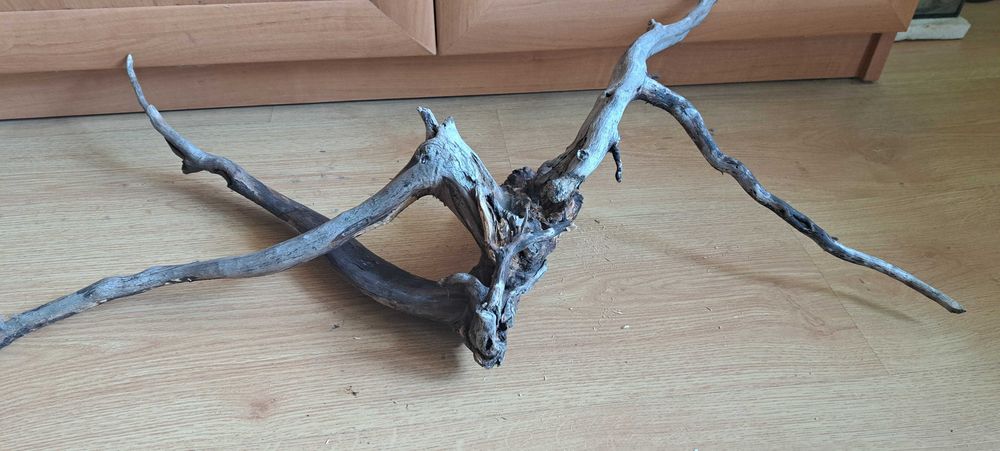 Korzeń do akwarium - terrarium