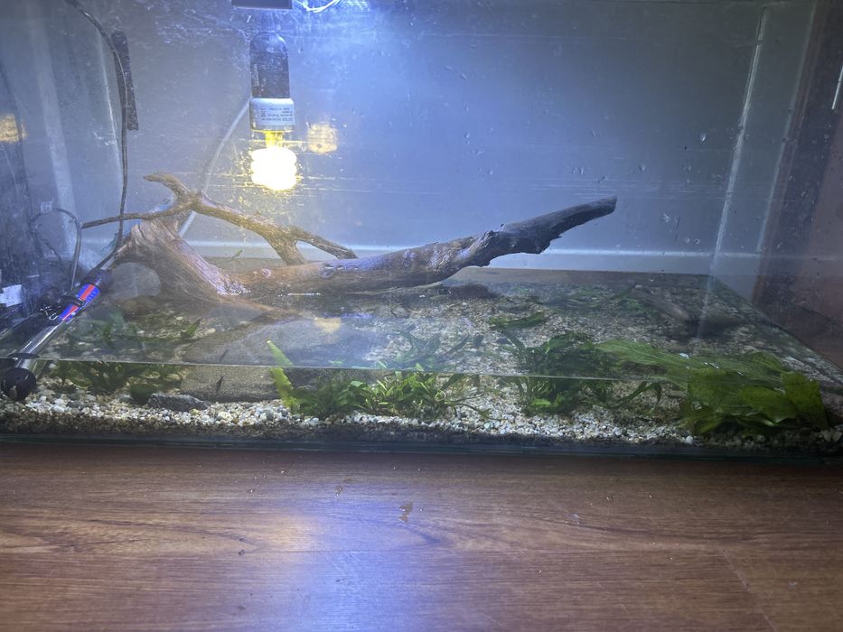 akwarium 115l z zolwiem wodno ladowym, krewetkami , rybami i calym sprzetem