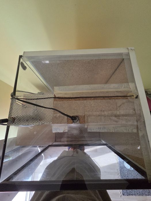 Terrário para repteis