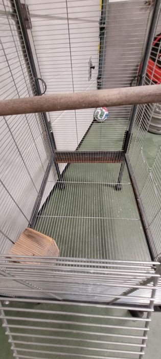 Woliera dla ptaków
Woliera dla ptaków Zolux Chic Solo H156 – duża