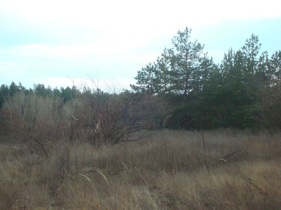 Ціну змінено!!! Продам земельну ділянку під будівництво в с. Чорнявка