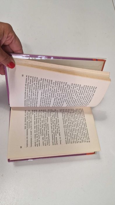Livro O hóspede de Job, de José Cardoso Pires