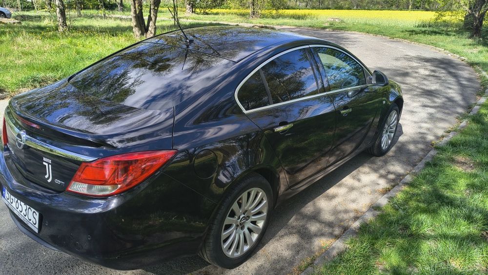 Opel Opel Insignia 2.0 CDTI 160 KM 2009 Sedan