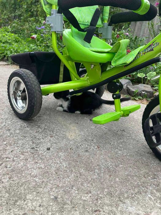 Дитячий велосипед Azimut trike