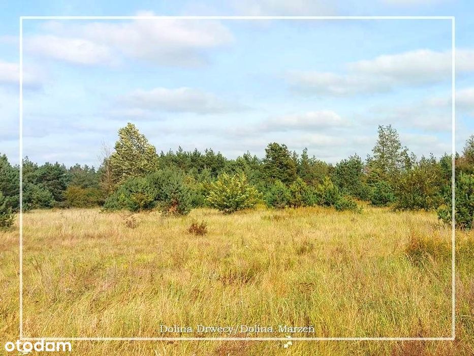 Ostatnie działki w Dolinie Drwęcy z m.p.z.p. z dostępem do strugi! - View 3