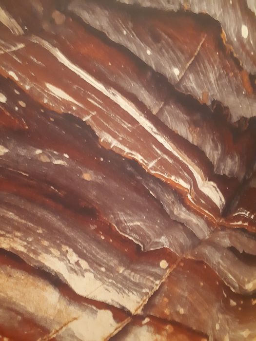 Abstract Canvas with Print64738362529155122