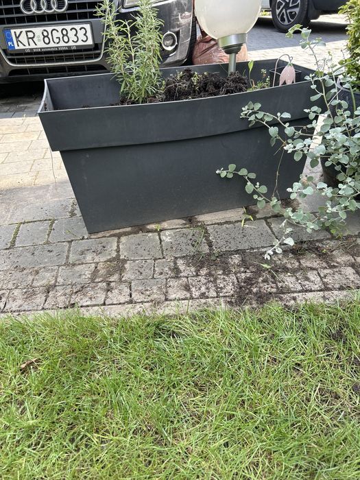 Duża Donica na kółkach kupiona w Castoramie