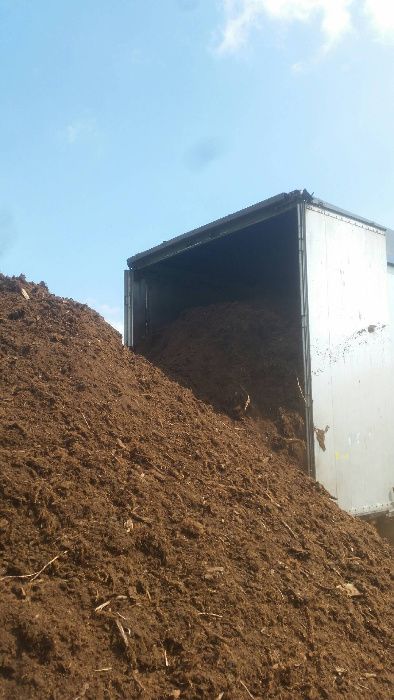 Torf kwaśny włóknianka litewski luzem