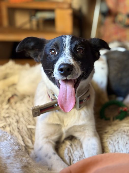 Jacuś, 8-miesięczny bąbel