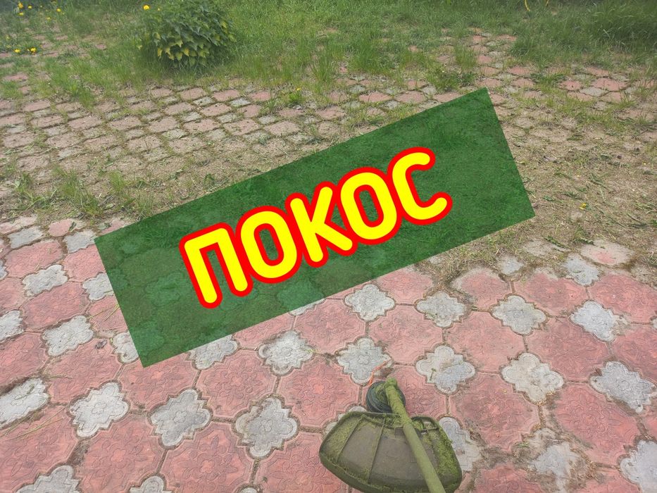 Покос трави на ділянці, на дачі, біля будинку. Удаление поросли, уборк ...