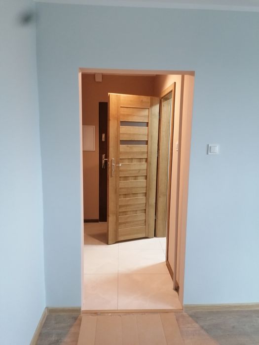 Malowanie , gipsowanie ,  remonty ,panele ,