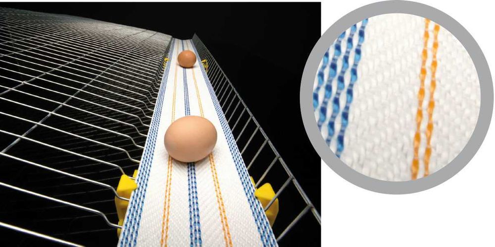 Стрічка яйцезбору в автоматичних гніздах та клітках утримання птиці