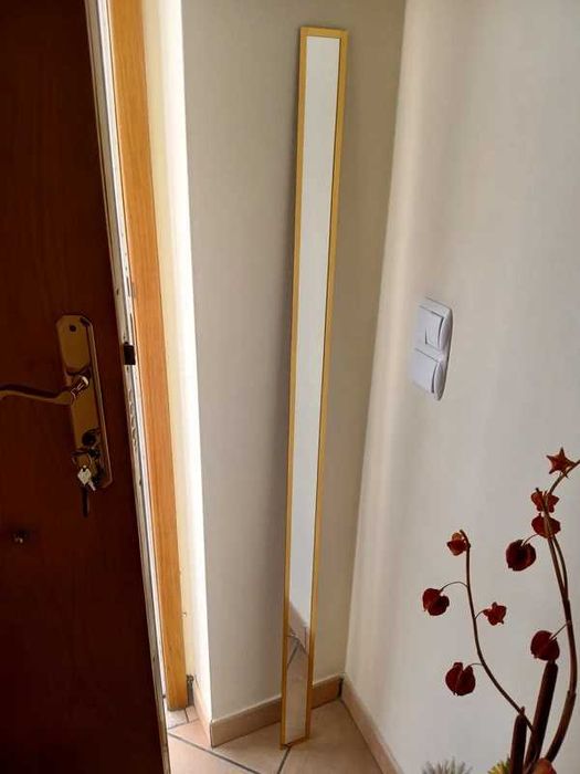 Espelho Comprido Antigo Mirror 145x7cm Moldura Dourada Vintage