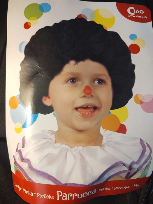 Peruca de Carnaval