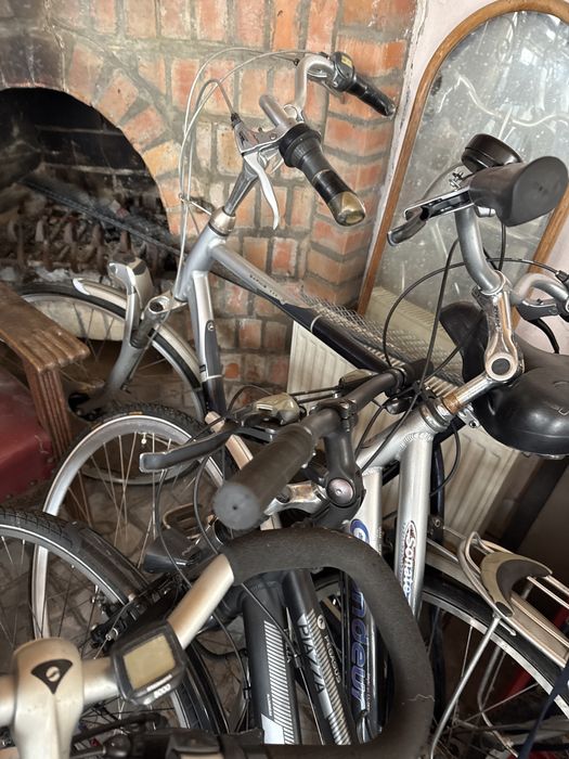 Rower holenderski Gazelle Giant Kuga