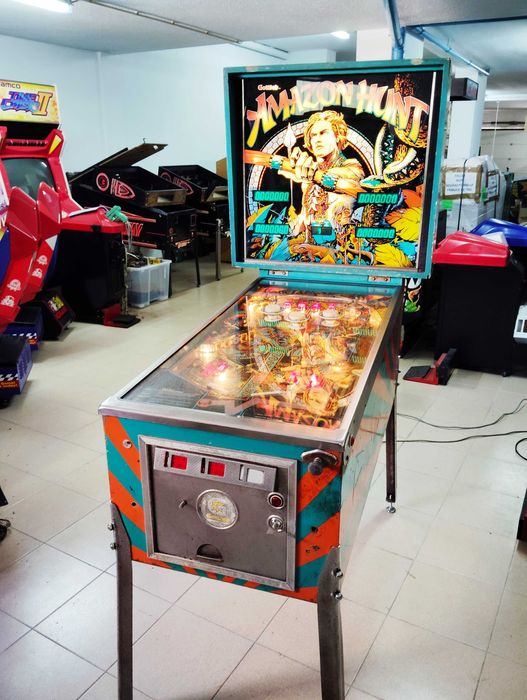 Fliper Pinball - Amazon Hunt