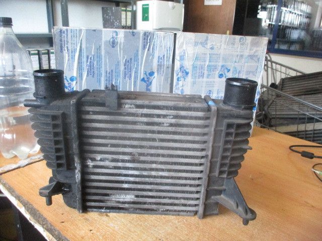 Radiador do intercooler RENAULT Clio III (BR0/1, CR0/1)