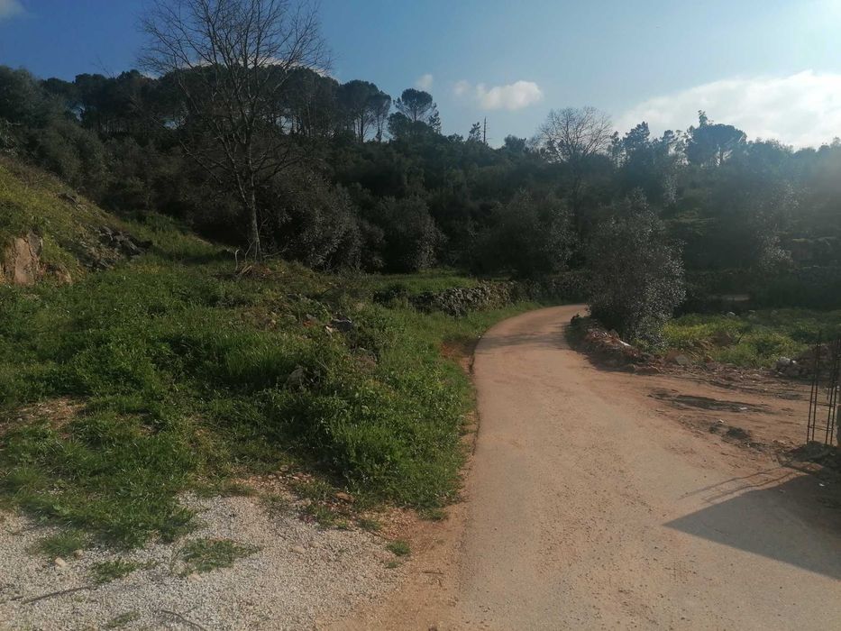 Vendem-se terrenos com viabilidade de construção ou para utilização agricula a partir de 20.000 euros.