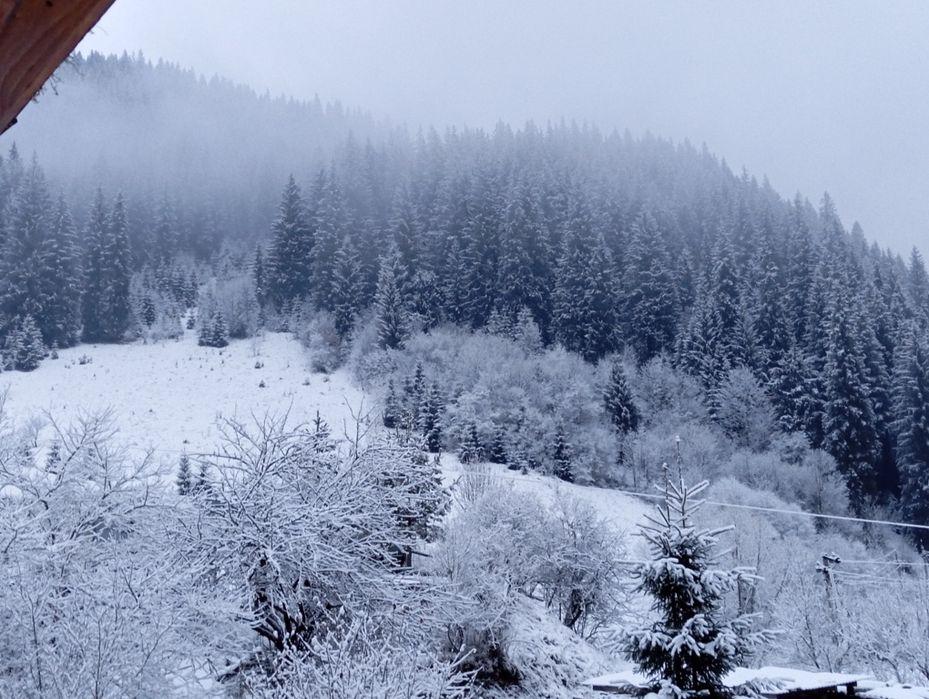 Відпочинок в Карпатах