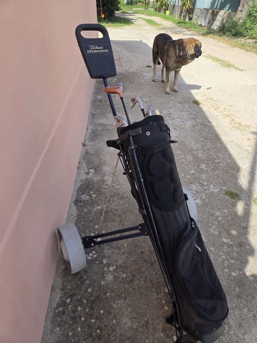 Carrinho de golf com tacos
