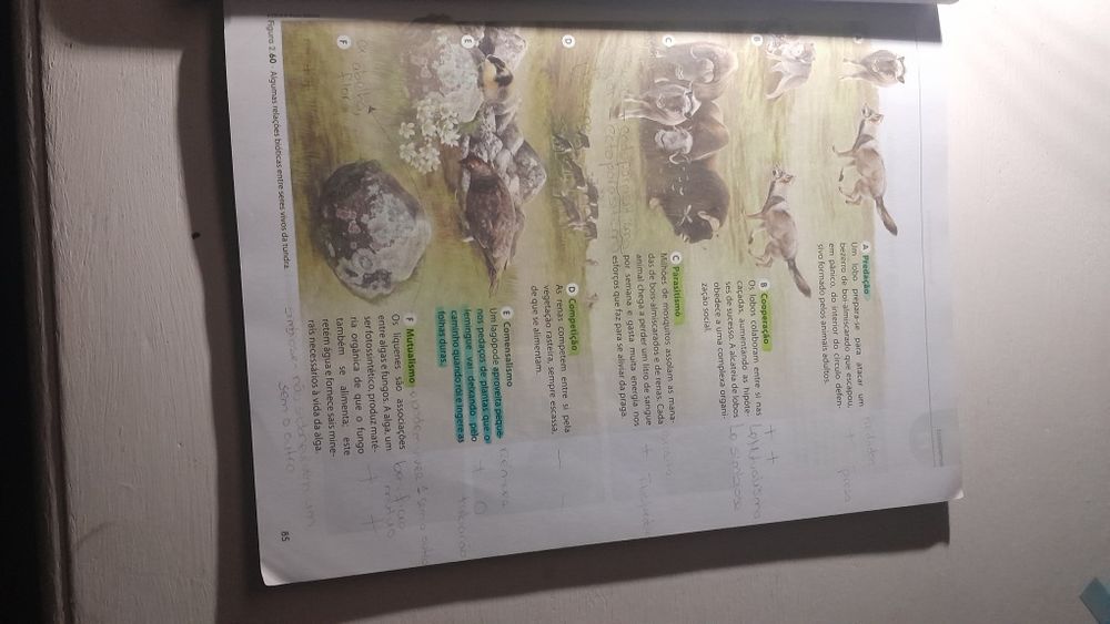 CienTic Ciências Naturais 8.° ano