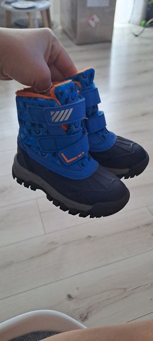 Sniegowce lupilu r25