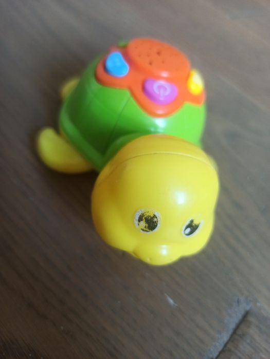 Grający i świecący żółw