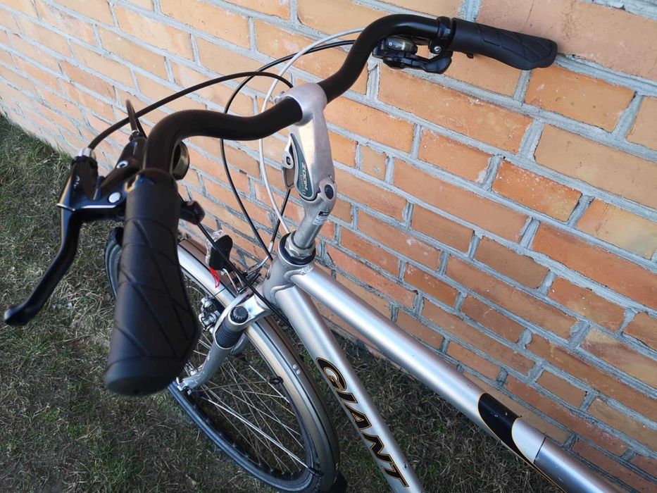 Rower męski holenderski GIANT Freerider