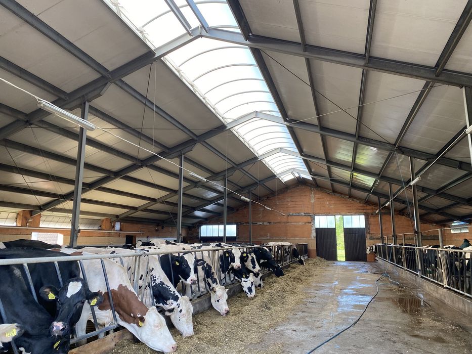 Mycie Fotowoltaiki obory bielenie nacinanie ruszt dachu elewacji