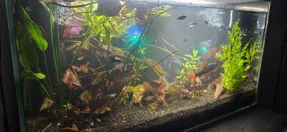 Sprzedam Akwarium 107l