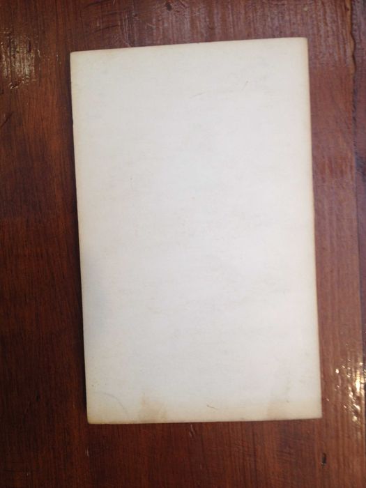 Virgílio Martinho - O concerto das buzinas