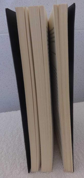 Livro “A Torre dos Loucos”