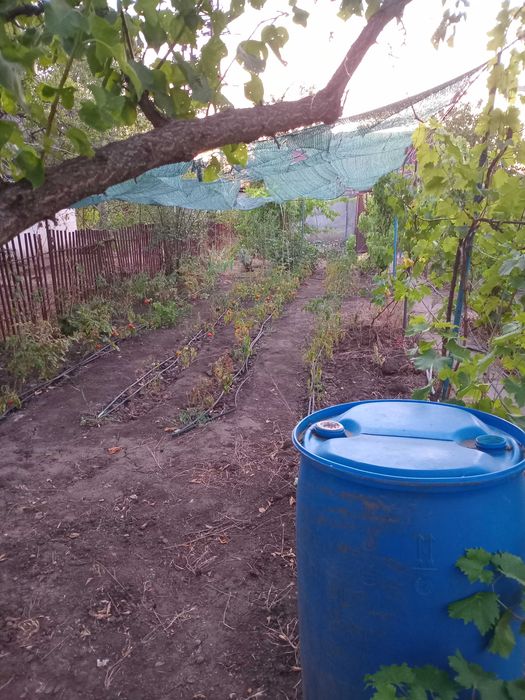 Продається дача в садовому товаристві Айстра