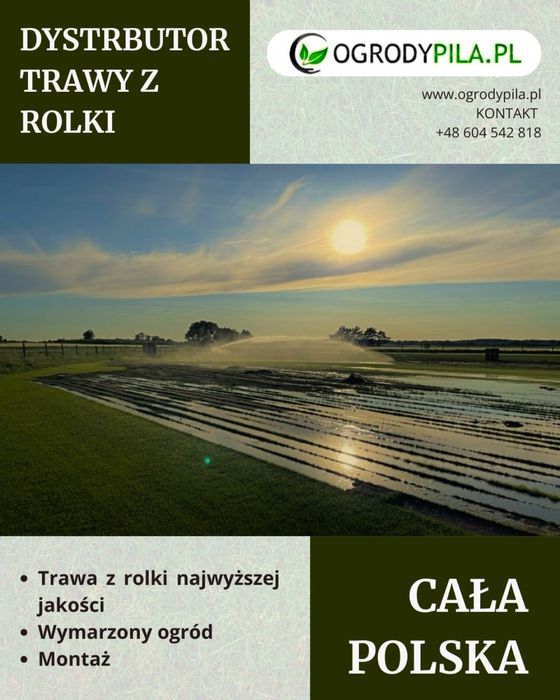 Trawa z Rolki Premium