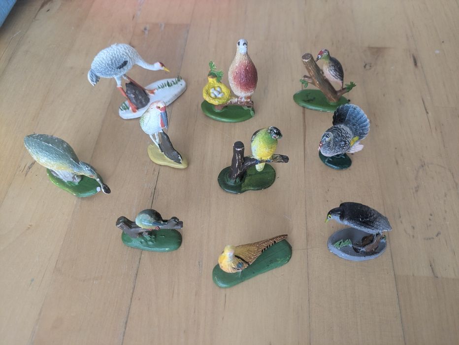 brindes Azur, aves