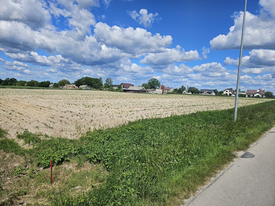 Działka Wieprzowe Jezioro 25 ar. - View 4