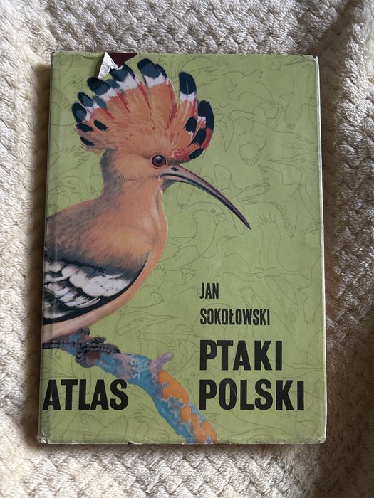 Ptaki Polski Jan Sokołowski