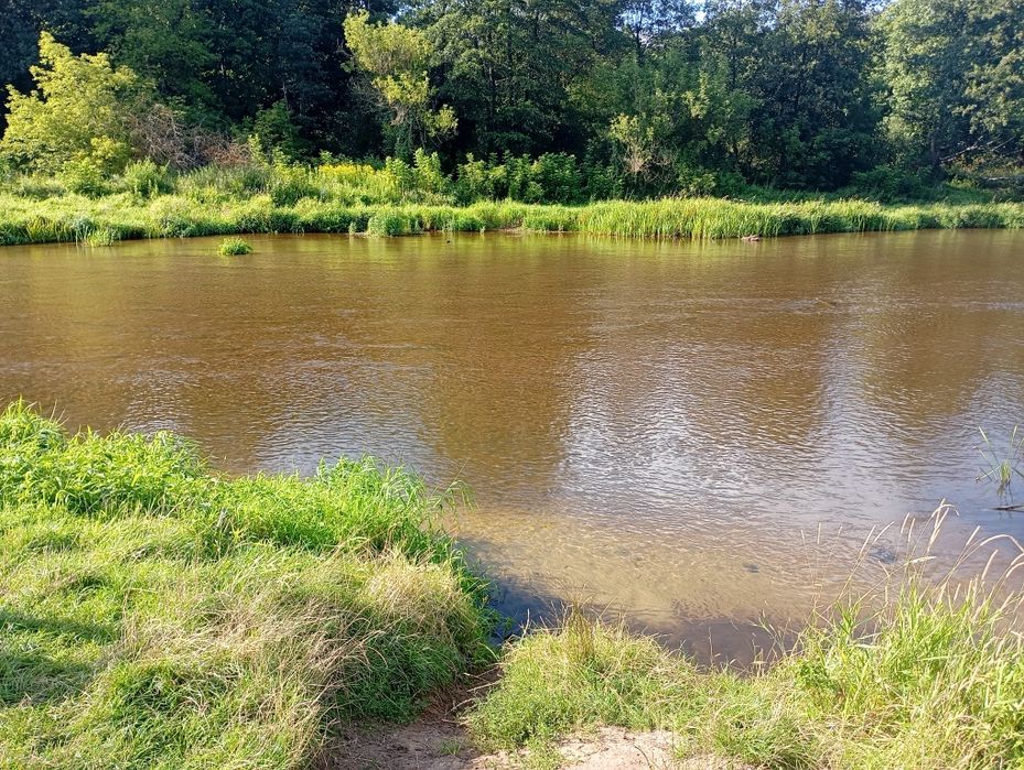 Leśne zacisze- nocleg, domek, rzeka Liwiec