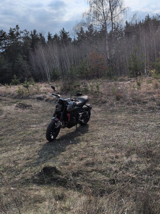 Triumph Trident 660 - 2024 рік