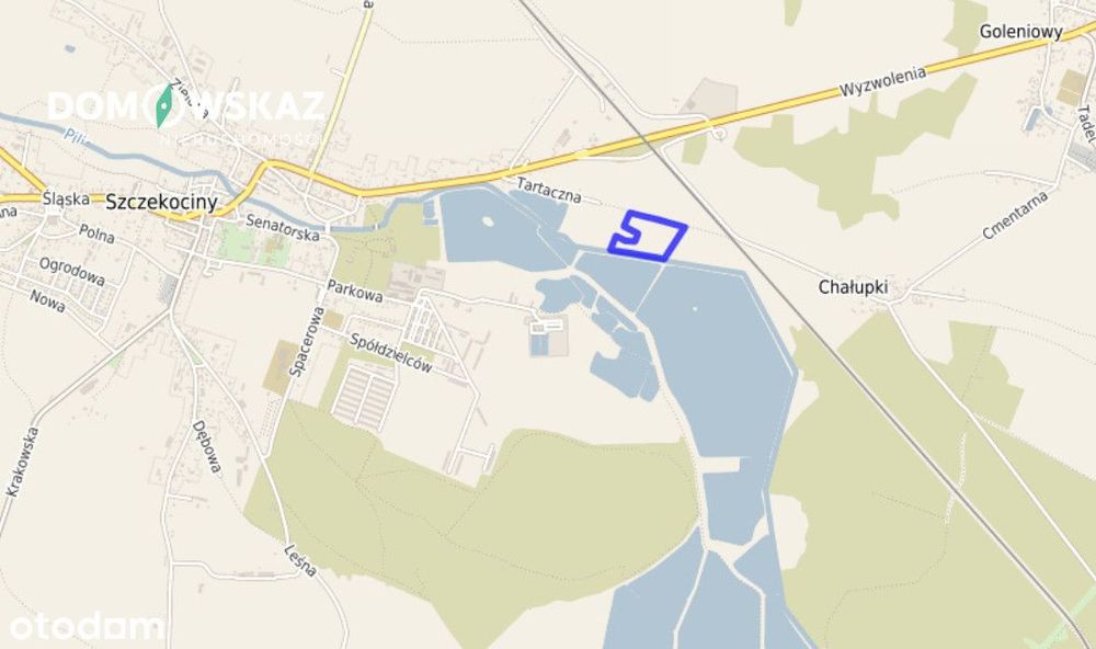 Petarda Inwestycyjna Nad Pilicą! Ponad 10 Hektarów - Widok 3