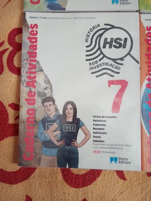 Livros de fichas do 7 ano