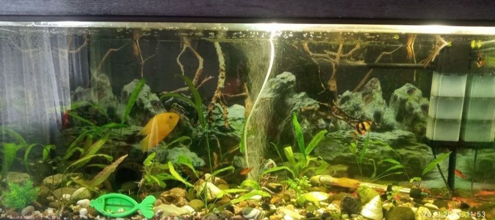 Продам акваріум без рибок і кришки