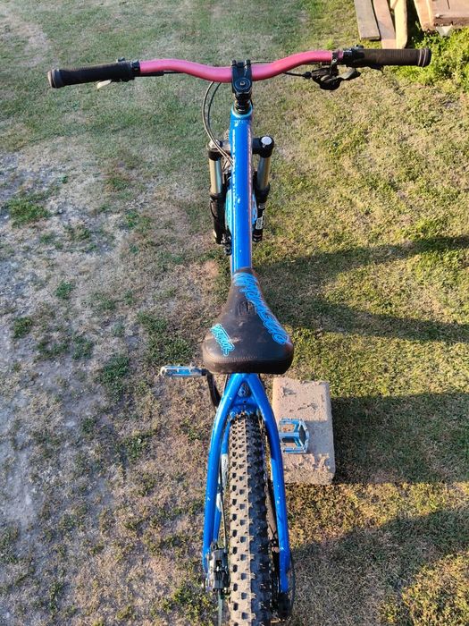 Dartmoor Hornet 2016 M