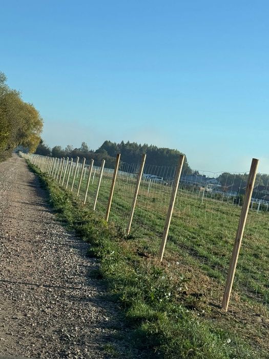 Ogrodzenia Leśne Tymczasowe Budowlane