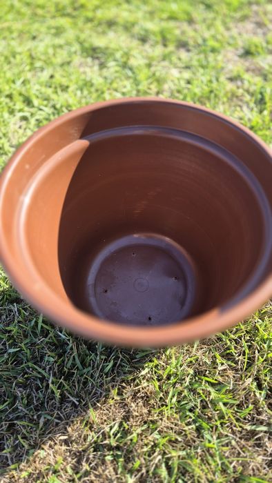 Pack de vasos variados