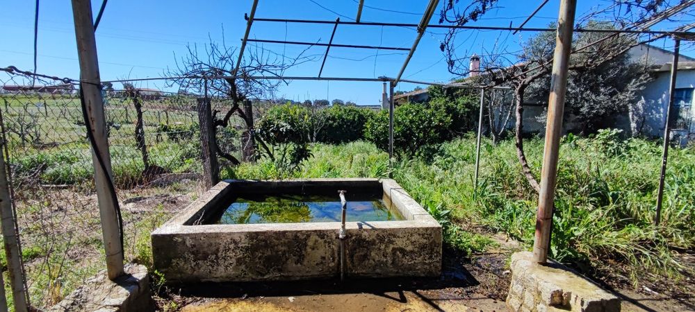 Terreno Ourique água e luz